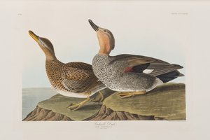 Ilustración de 