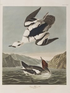 Ilustración de 