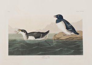 Ilustración de 