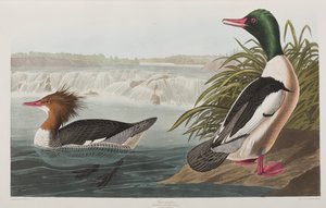 Ilustración de 