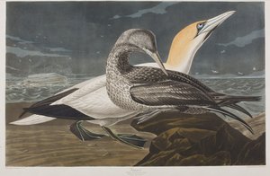 Ilustración de 