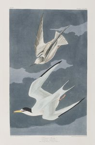 Ilustración de 