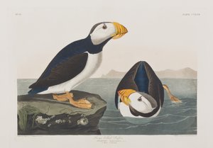 Ilustración de 