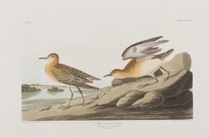 Ilustración de 