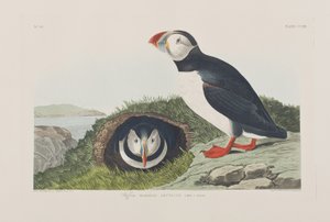 Ilustración de 