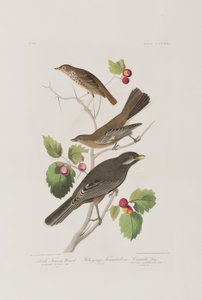 Ilustración de 