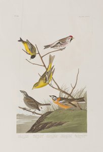 Ilustración de 