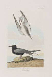 Ilustración de 