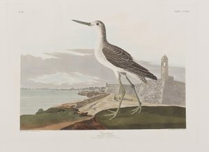 Ilustración de 
