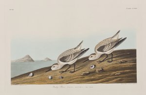 Ilustración de 