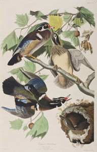 Ilustración de 