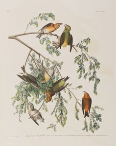 Ilustración de 