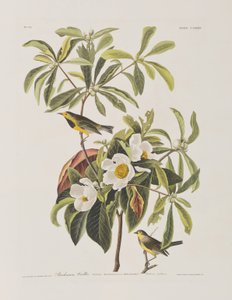 Ilustración de 