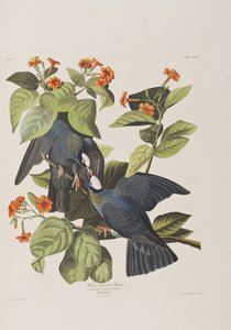 Ilustración de 
