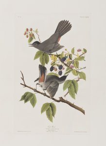 Ilustración de 