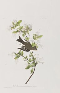 Ilustración de 