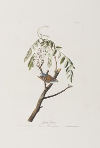 Ilustración de 