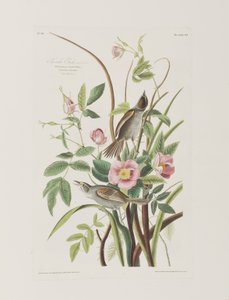 Ilustración de 