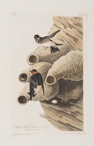 Ilustración de 