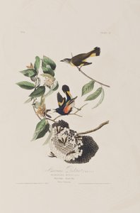 Ilustración de 
