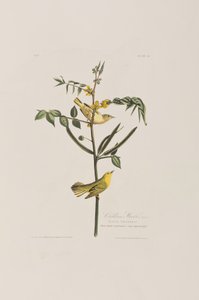 Ilustración de 