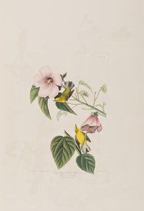 Ilustración de 