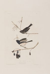 Ilustración de 