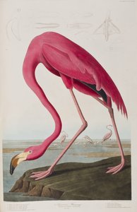 Ilustración de 