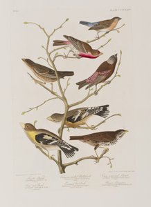 Ilustración de 