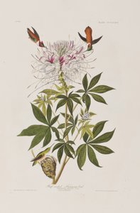 Ilustración de 