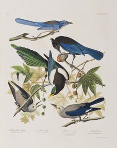 Ilustración de 
