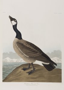 Ilustración de 