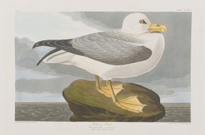 Ilustración de 