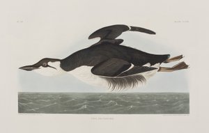 Ilustración de 