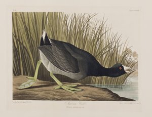 Ilustración de 
