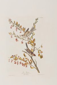 Ilustración de 