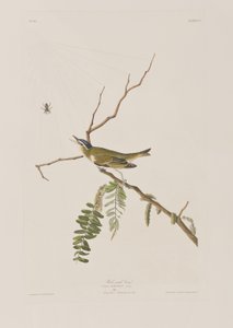 Ilustración de 