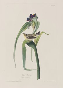 Ilustración de 