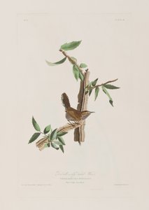 Ilustración de 