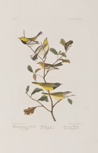 Ilustración de 