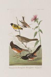 Ilustración de 