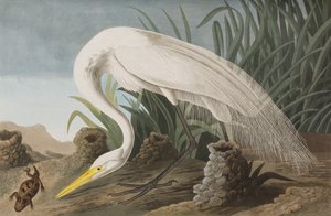 Ilustración de 