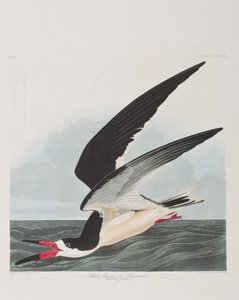 Ilustración de 