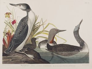 Ilustración de 