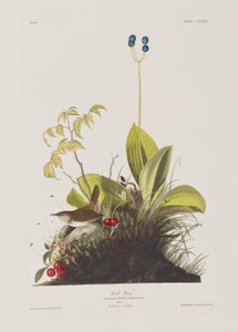 Ilustración de 