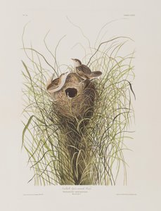 Ilustración de 