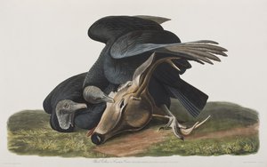 Ilustración de 