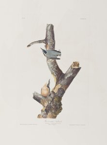Ilustración de 