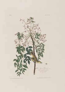 Ilustración de 