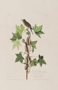 Ilustración de 